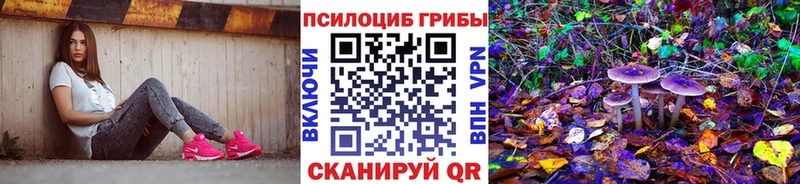 MEGA зеркало  Зеленоградск  Галлюциногенные грибы прущие грибы 